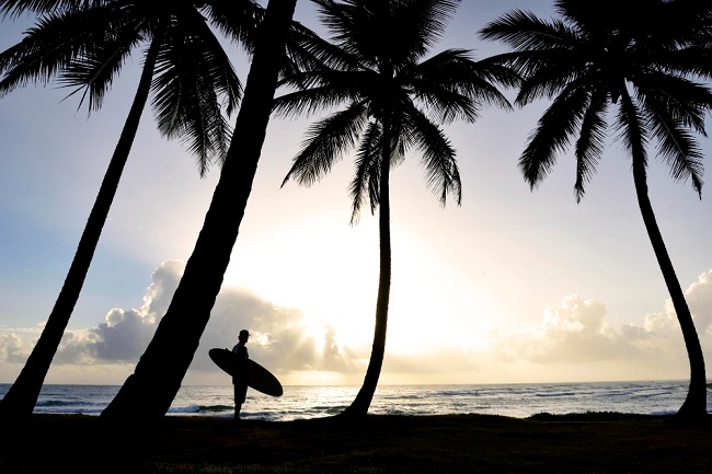 surfing in Miami