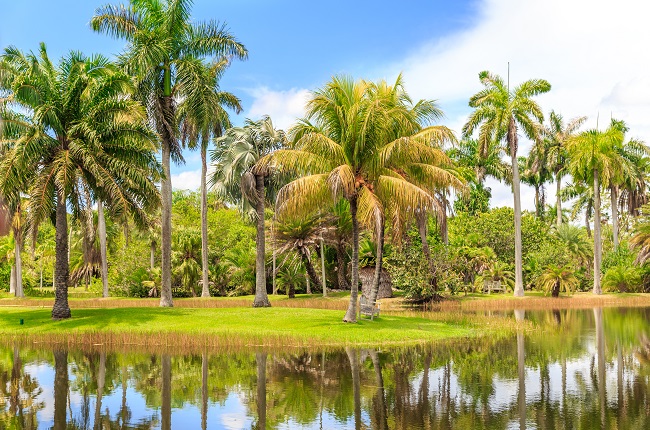 Best Park in Miami
