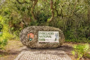 National Parks in Miami