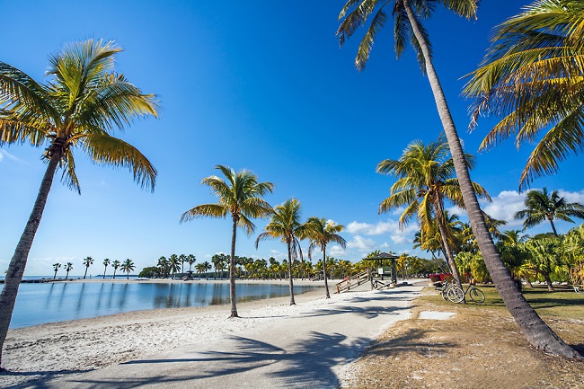 Best Parks In Miami
